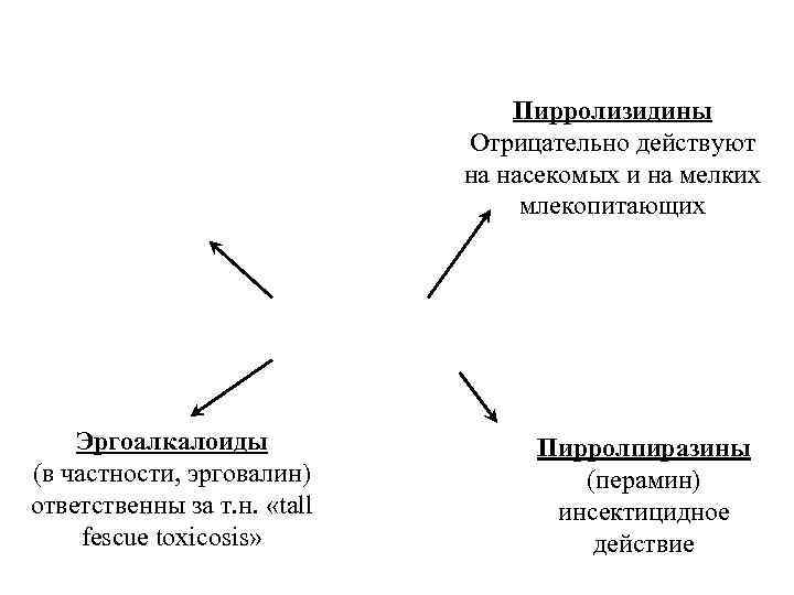 Пирролизидины Отрицательно действуют на насекомых и на мелких млекопитающих Эргоалкалоиды (в частности, эрговалин) ответственны