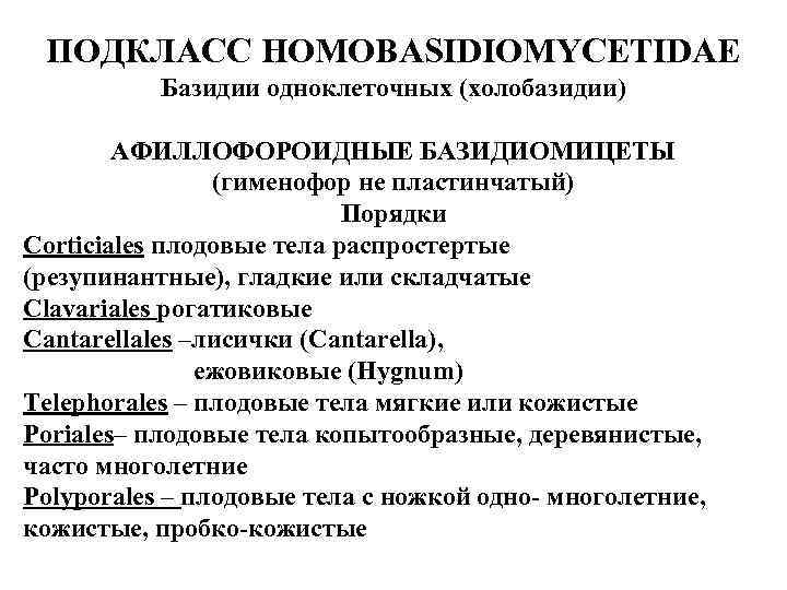 ПОДКЛАСС HOMOBASIDIOMYCETIDAE Базидии одноклеточных (холобазидии) АФИЛЛОФОРОИДНЫЕ БАЗИДИОМИЦЕТЫ (гименофор не пластинчатый) Порядки Сorticiales плодовые тела