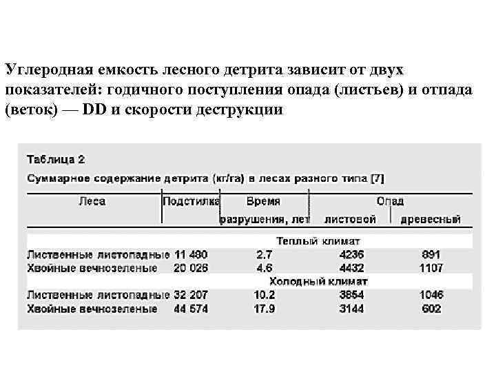 Углеродная емкость лесного детрита зависит от двух показателей: годичного поступления опада (листьев) и отпада