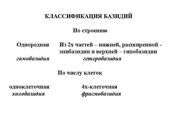 КЛАССИФИКАЦИЯ БАЗИДИЙ По строению Однородная Из 2 х частей – нижней, расширенной - эпибазидии