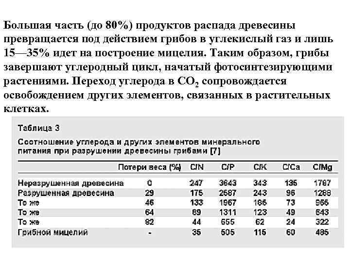 Большая часть (до 80%) продуктов распада древесины превращается под действием грибов в углекислый газ