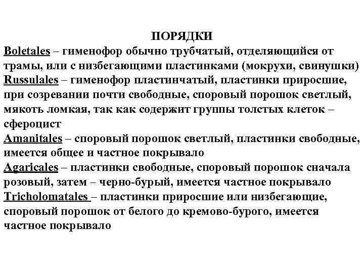 ПОРЯДКИ Boletales – гименофор обычно трубчатый, отделяющийся от трамы, или с низбегающими пластинками (мокрухи,