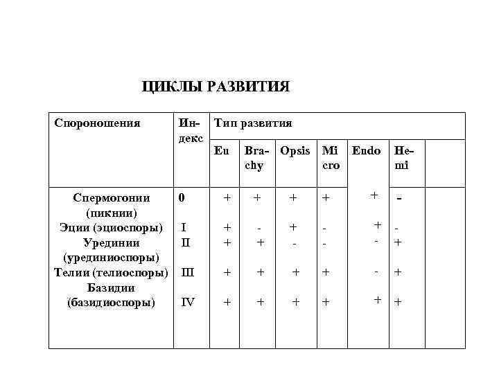 ЦИКЛЫ РАЗВИТИЯ Спороношения Ин- Тип развития декс Eu Bra- Opsis Mi chy cro Cпермогонии
