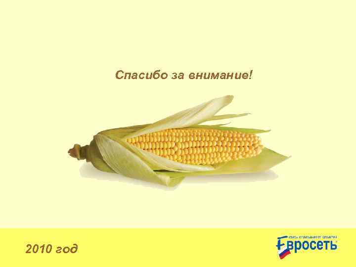 Спасибо за внимание! 2010 год 