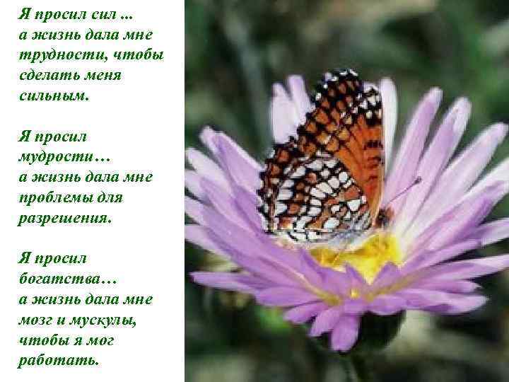 Я просил сил. . . а жизнь дала мне трудности, чтобы сделать меня сильным.