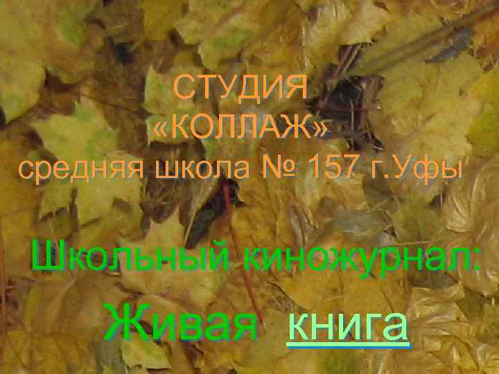 СТУДИЯ «КОЛЛАЖ» средняя школа № 157 г. Уфы Школьный киножурнал: Живая книга 
