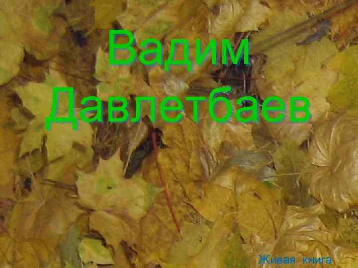 Вадим Давлетбаев Живая книга 