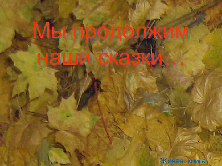 Мы продолжим наши сказки… Живая книга 