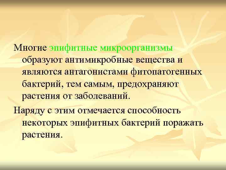 Многие эпифитные микроорганизмы образуют антимикробные вещества и являются антагонистами фитопатогенных бактерий, тем самым, предохраняют