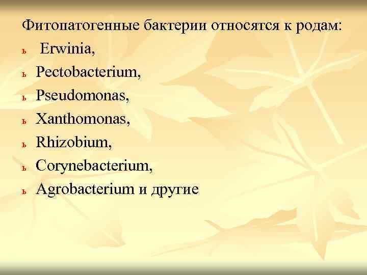 Фитопатогенные бактерии относятся к родам: ь Erwinia, ь Pectobacterium, ь Pseudomonas, ь Xanthomonas, ь