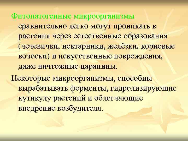 Фитопатогенные микроорганизмы сравнительно легко могут проникать в растения через естественные образования (чечевички, нектарники, желёзки,