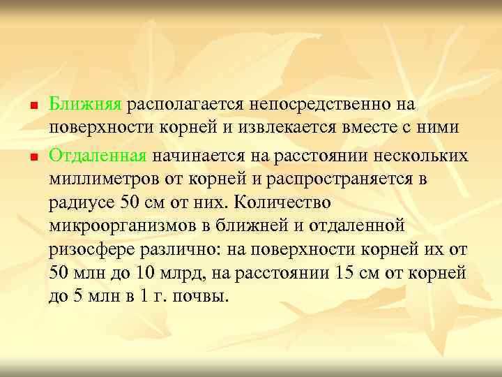 n n Ближняя располагается непосредственно на поверхности корней и извлекается вместе с ними Отдаленная
