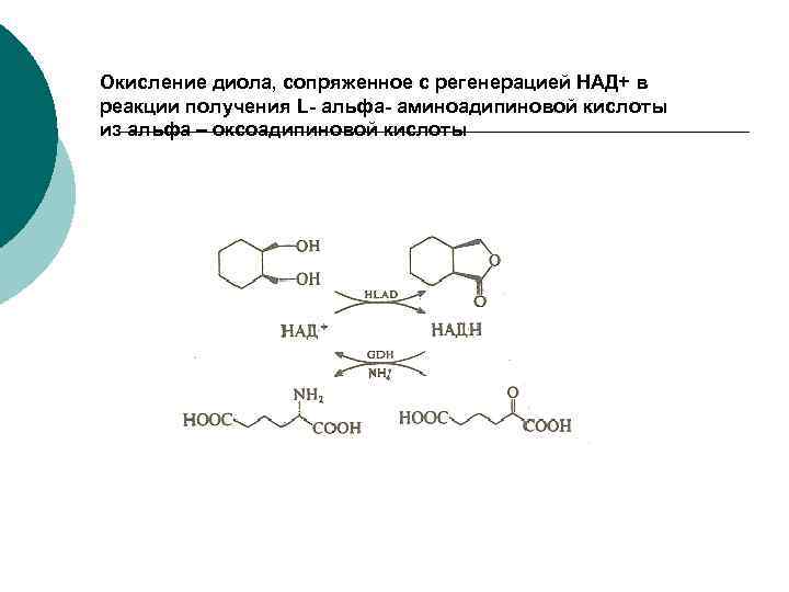 Окисление диола, сопряженное с регенерацией НАД+ в реакции получения L- альфа- аминоадипиновой кислоты из