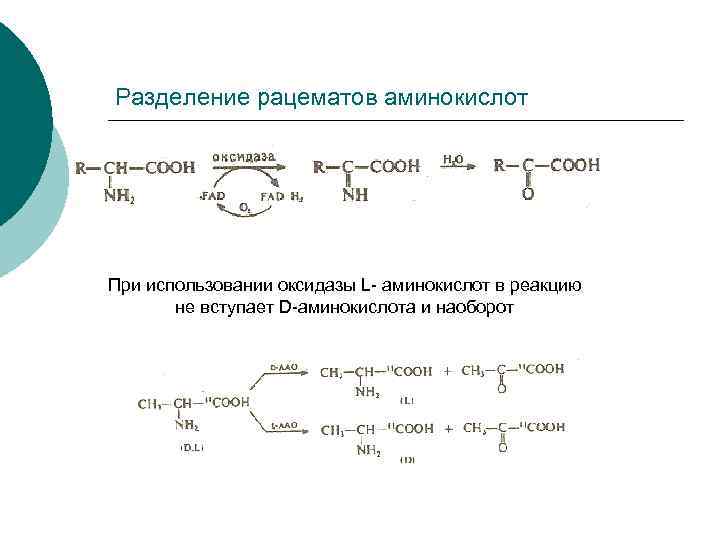 Разделение рацематов аминокислот При использовании оксидазы L- аминокислот в реакцию не вступает D-аминокислота и