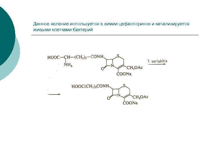 Данное явление используется в химии цефаспоринов и катализируется живыми клетками бактерий 
