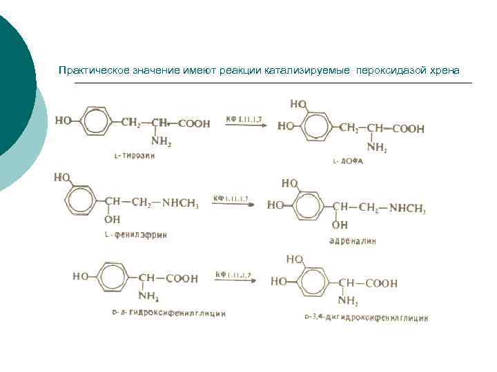 Практическое значение имеют реакции катализируемые пероксидазой хрена 
