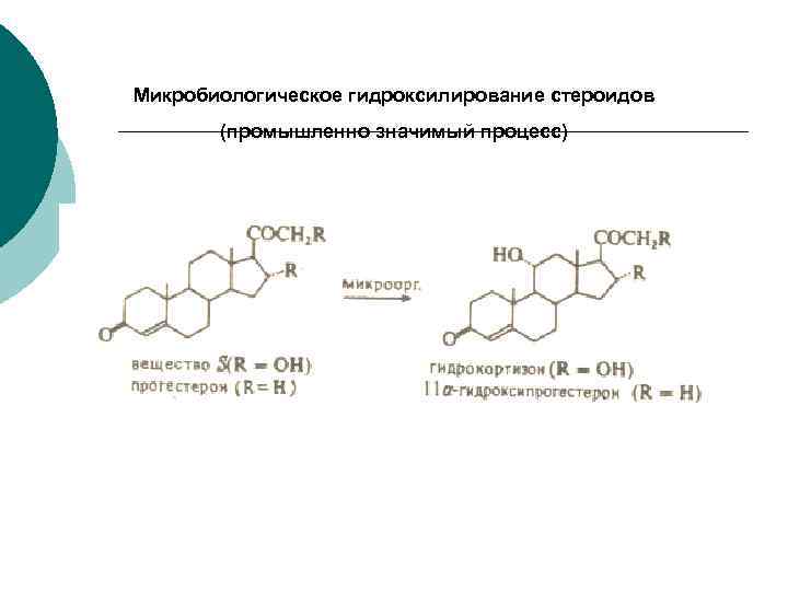 Микробиологическое гидроксилирование стероидов (промышленно значимый процесс) 