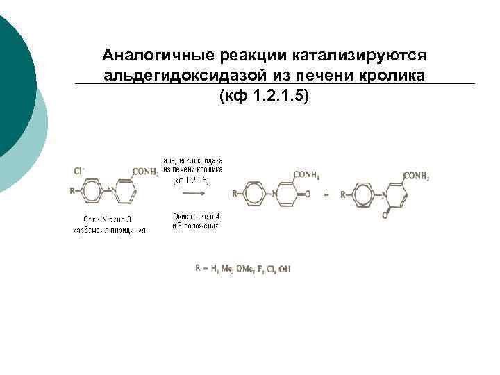 Аналогичные реакции катализируются альдегидоксидазой из печени кролика (кф 1. 2. 1. 5) 