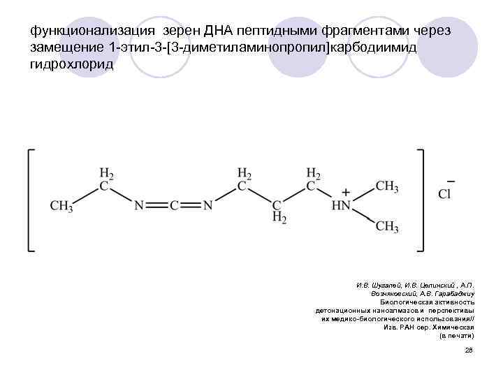 функционализация зерен ДНА пептидными фрагментами через замещение 1 -этил-3 -[3 -диметиламинопропил]карбодиимид гидрохлорид И. В.