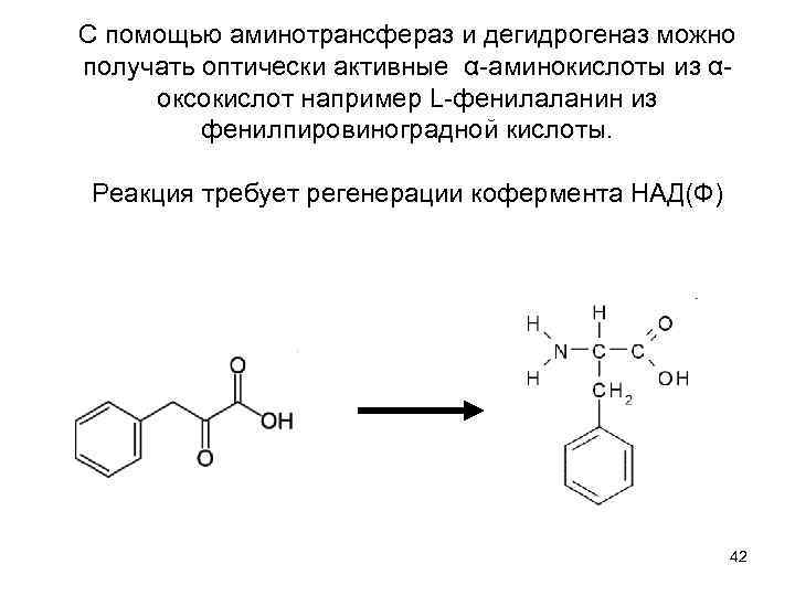 С помощью аминотрансфераз и дегидрогеназ можно получать оптически активные α-аминокислоты из αоксокислот например L-фенилаланин