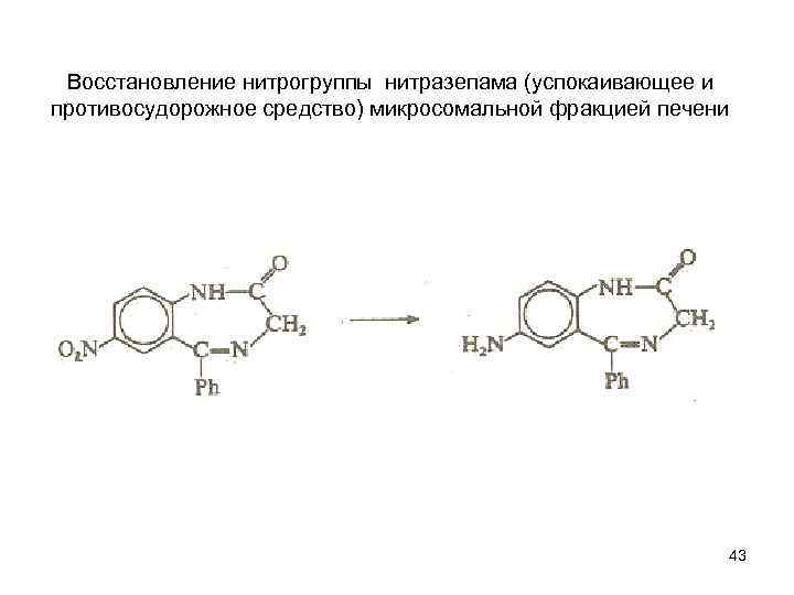 Восстановление нитрогруппы нитразепама (успокаивающее и противосудорожное средство) микросомальной фракцией печени 43 