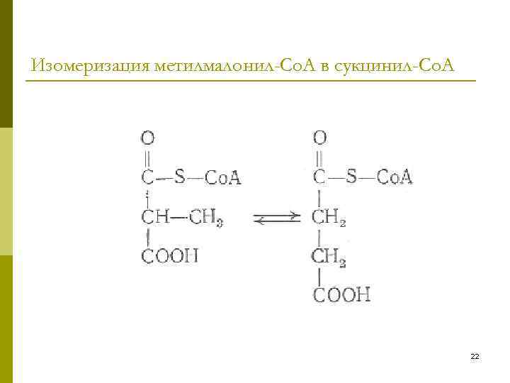 Изомеризация метилмалонил-Со. А в сукцинил-Со. А 22 
