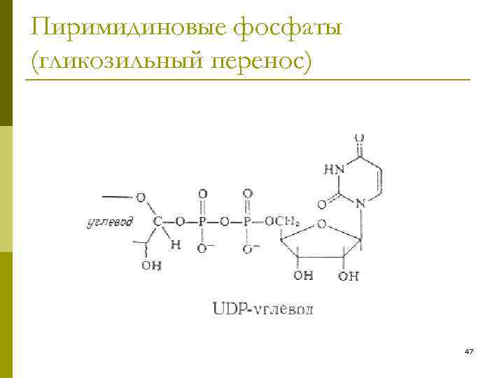 Пиримидиновые фосфаты (гликозильный перенос) 47 