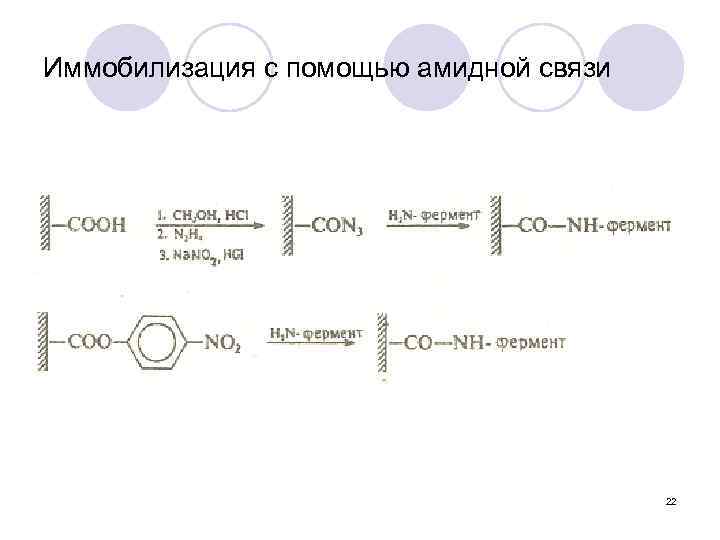 Иммобилизация с помощью амидной связи 22 