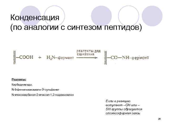 Конденсация (по аналогии с синтезом пептидов) Реагенты: Карбодиимиды, N-5 -фенилизоксазоли-3/-сульфонат N-этоксикарбонил-2 -этоксил-1, 2 -гидрохинолин