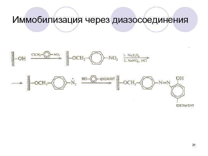 Иммобилизация через диазосоединения 31 