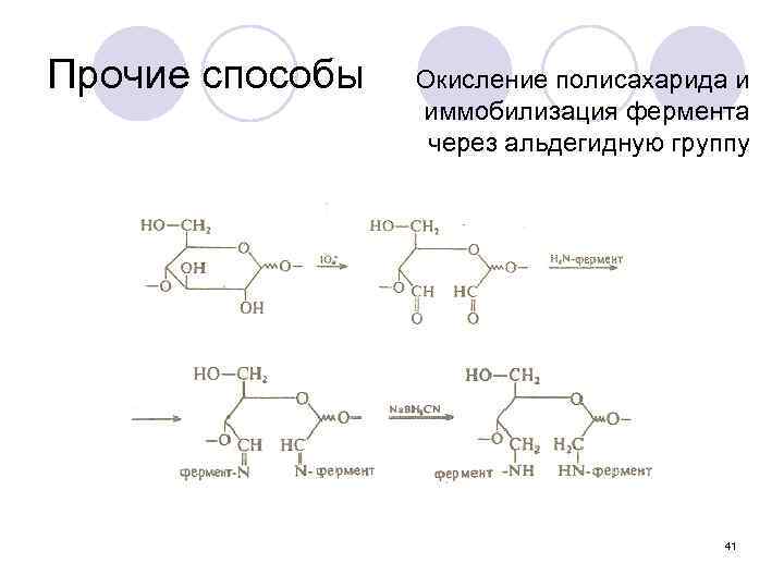 Прочие способы Окисление полисахарида и иммобилизация фермента через альдегидную группу 41 