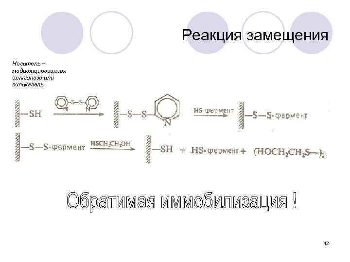 Реакция замещения Носитель – модифицированная целлюлоза или силикагель 42 