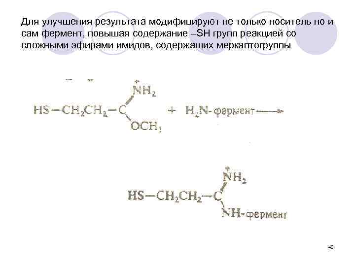 Для улучшения результата модифицируют не только носитель но и сам фермент, повышая содержание –SH