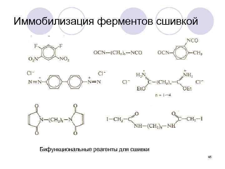 Иммобилизация ферментов сшивкой Бифункциональные реагенты для сшивки 45 