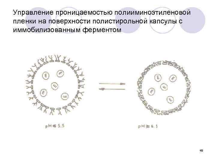 Управление проницаемостью полииминоэтиленовой пленки на поверхности полистирольной капсулы с иммобилизованным ферментом 49 