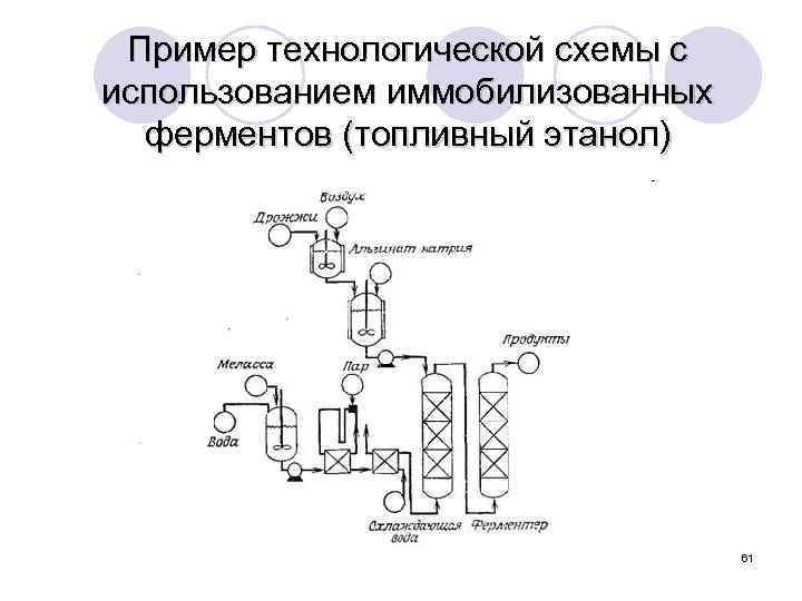 Пример технологической схемы с использованием иммобилизованных ферментов (топливный этанол) 61 