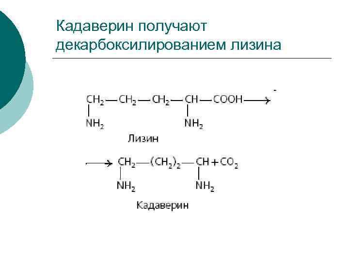 Кадаверин это