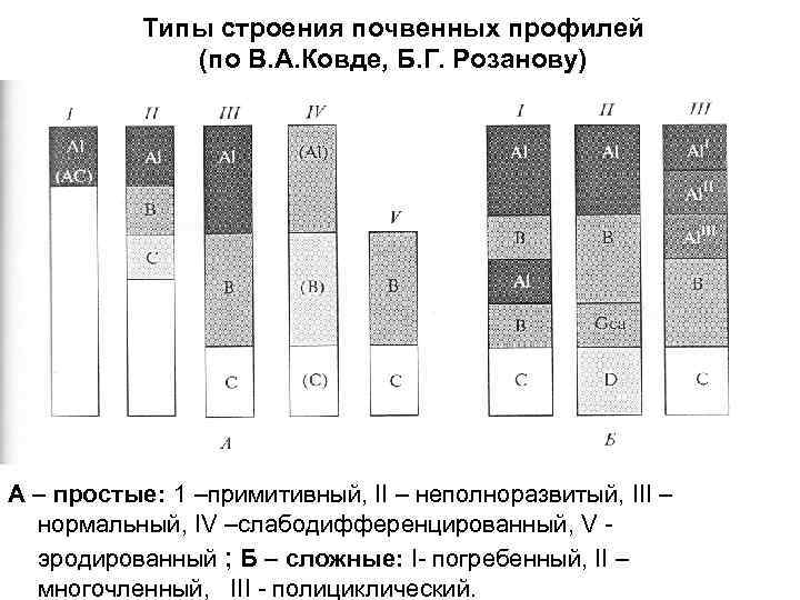 Строение почвенного профиля