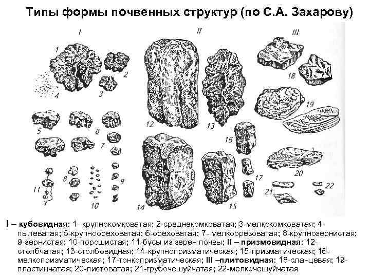 Типы формы почвенных структур (по С. А. Захарову) I – кубовидная: 1 - крупнокомковатая;