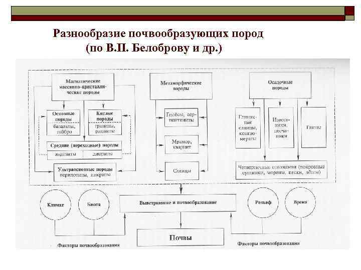 Разнообразие почвообразующих пород (по В. П. Белоброву и др. ) 