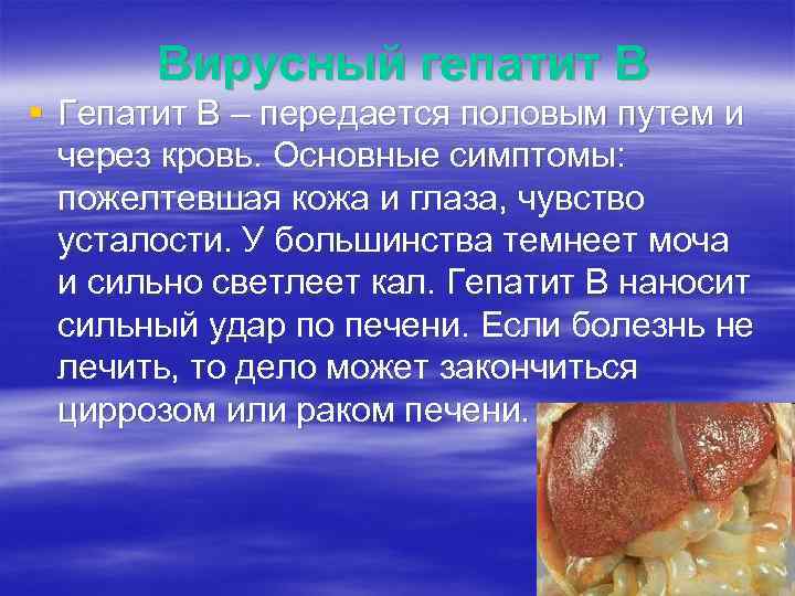 Вирусный гепатит В § Гепатит В – передается половым путем и через кровь. Основные