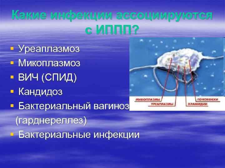 Какие инфекции ассоциируются с ИППП? § § § Уреаплазмоз Микоплазмоз ВИЧ (СПИД) Кандидоз Бактериальный