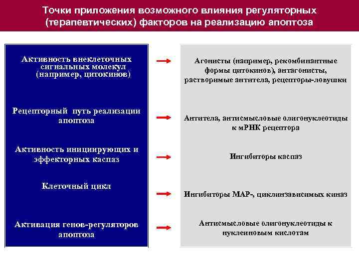 Точки приложения возможного влияния регуляторных (терапевтических) факторов на реализацию апоптоза Активность внеклеточных сигнальных молекул