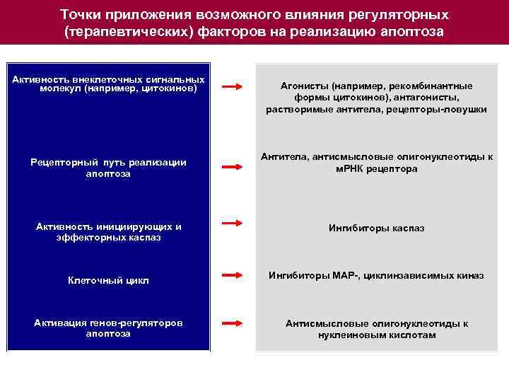 Точки приложения возможного влияния регуляторных (терапевтических) факторов на реализацию апоптоза Активность внеклеточных сигнальных молекул