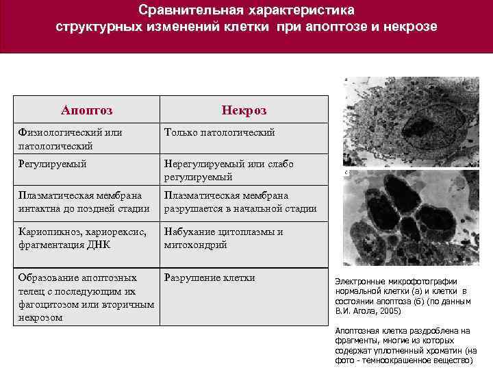 Изменение клеток