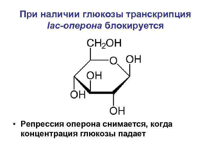 При наличии глюкозы транскрипция lac-оперона блокируется • Репрессия оперона снимается, когда концентрация глюкозы падает