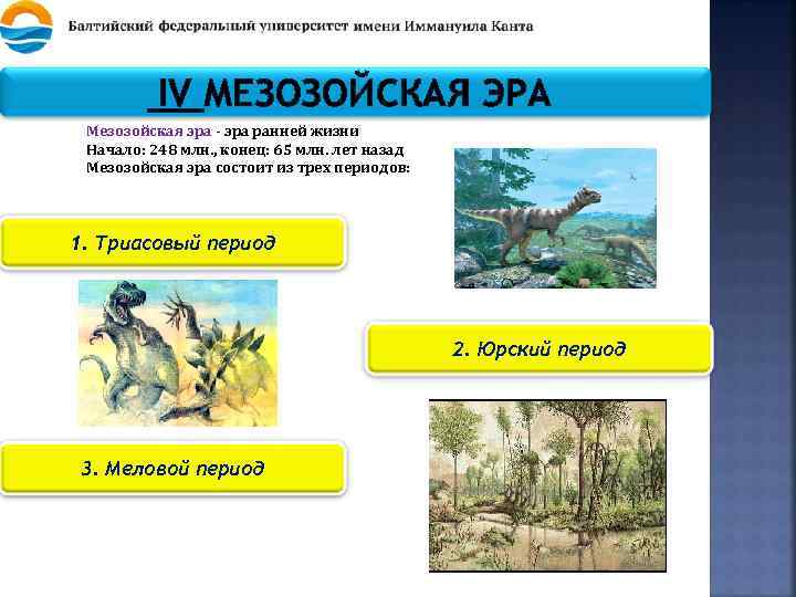 IV МЕЗОЗОЙСКАЯ ЭРА Мезозойская эра - эра ранней жизни Начало: 248 млн. , конец: