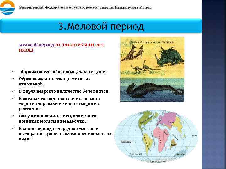 3. Меловой период ОТ 144 ДО 65 МЛН. ЛЕТ НАЗАД ü Море затопило обширные