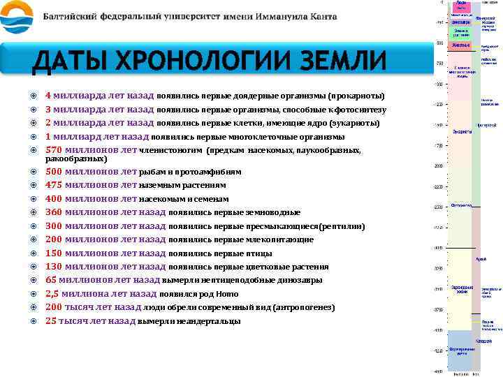 ДАТЫ ХРОНОЛОГИИ ЗЕМЛИ 4 миллиарда лет назад появились первые доядерные организмы (прокариоты) 3 миллиарда