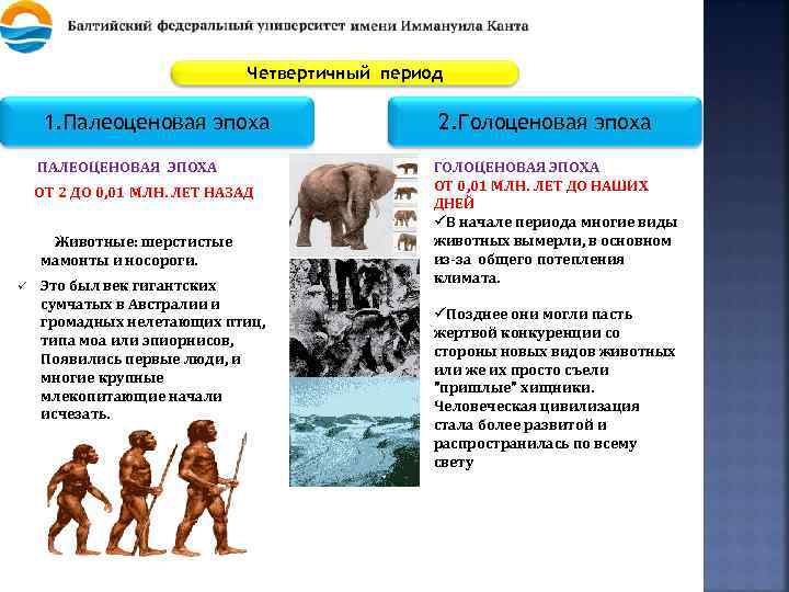 Четвертичный период 1. Палеоценовая эпоха ПАЛЕОЦЕНОВАЯ ЭПОХА ОТ 2 ДО 0, 01 МЛН. ЛЕТ